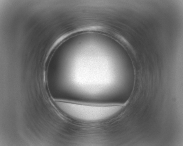 X0000082941324200702011102