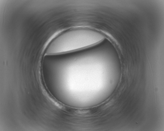 X0000082941325200702011102