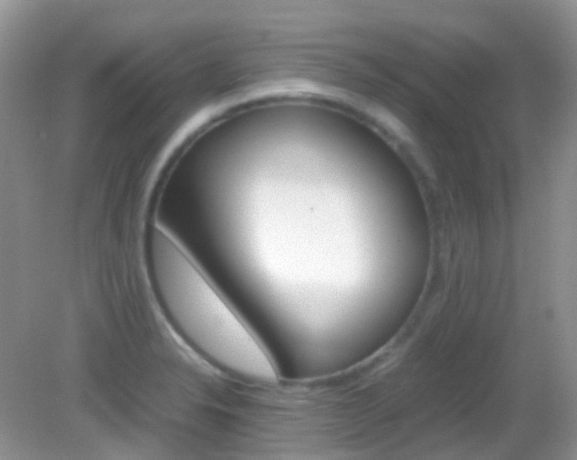 X0000082941326200702011102