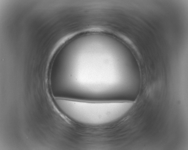 X0000082941327200702011102