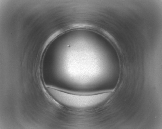 X0000082941330200702011102