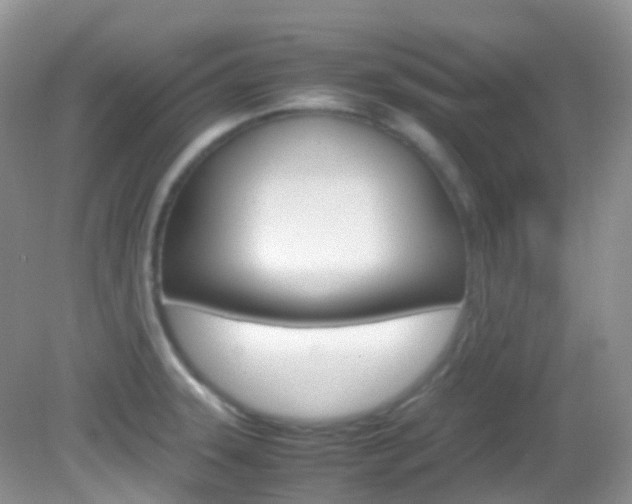X0000082941331200702011102