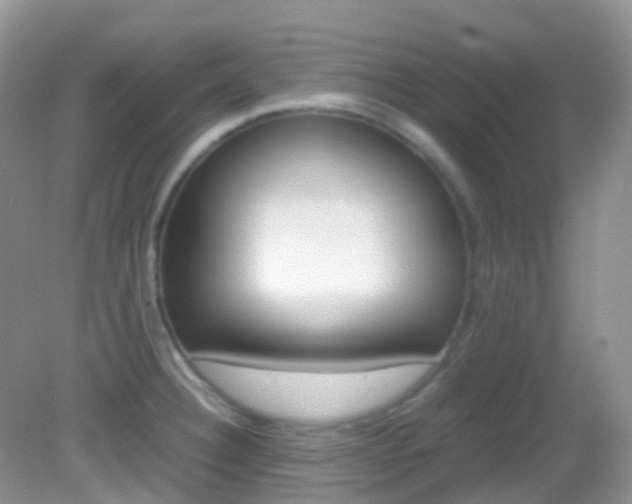 X0000082941332200702011102