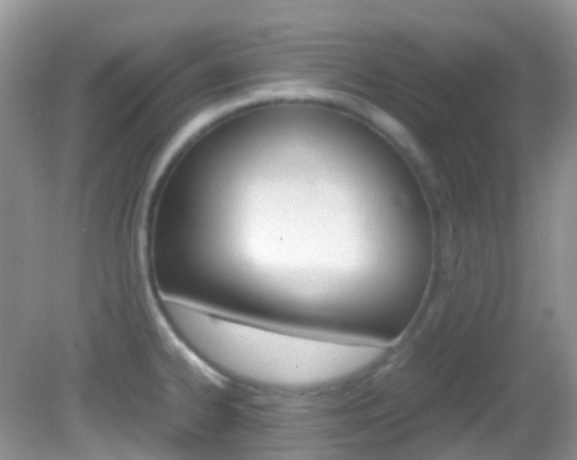 X0000082941334200702011102