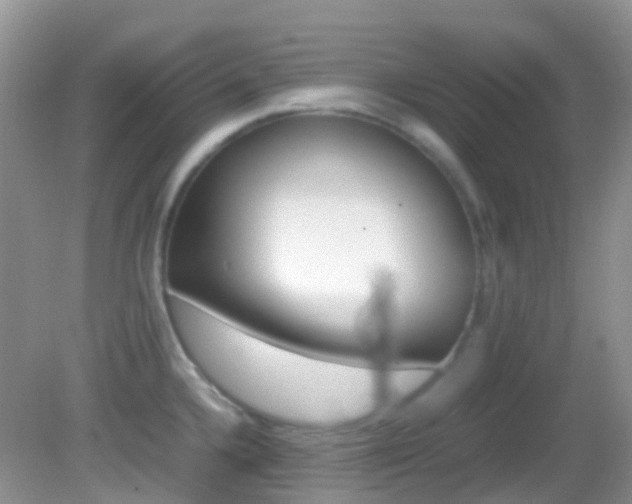 X0000082941336200702011102