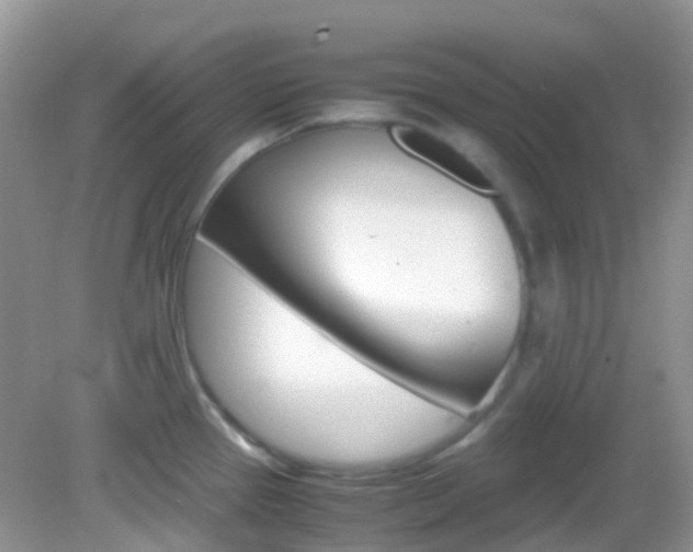 X0000082941337200702011102