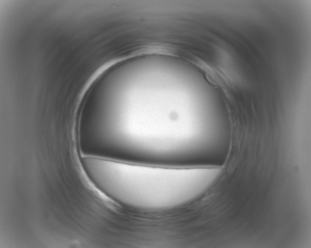 X0000082941339200702011102