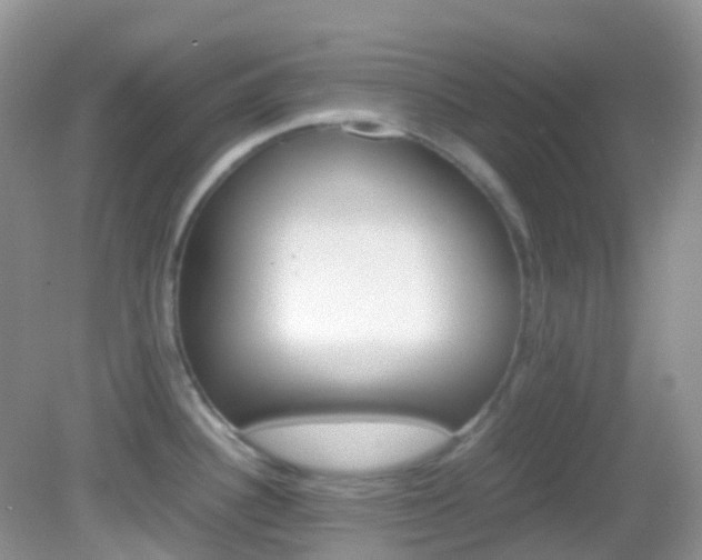 X0000082941340200702011102