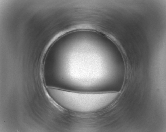 X0000082941342200702011102