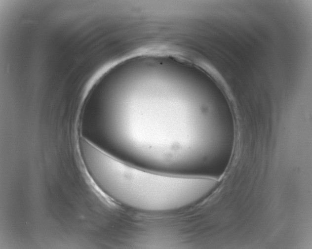 X0000082941344200702011102