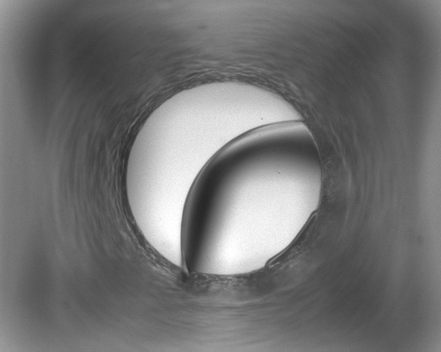 X0000082941345200702011101