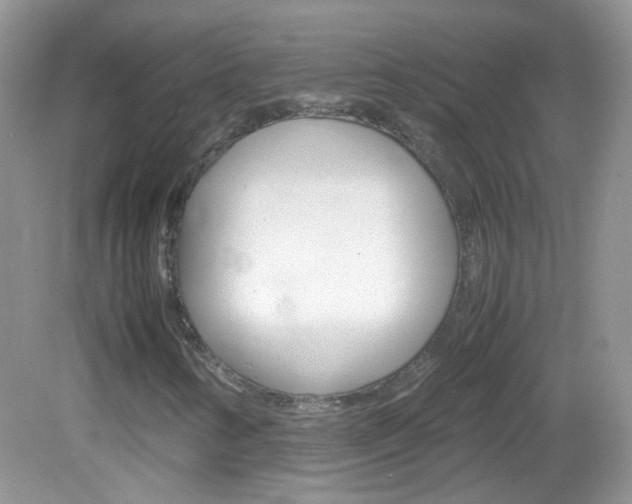 X0000082941346200702011101