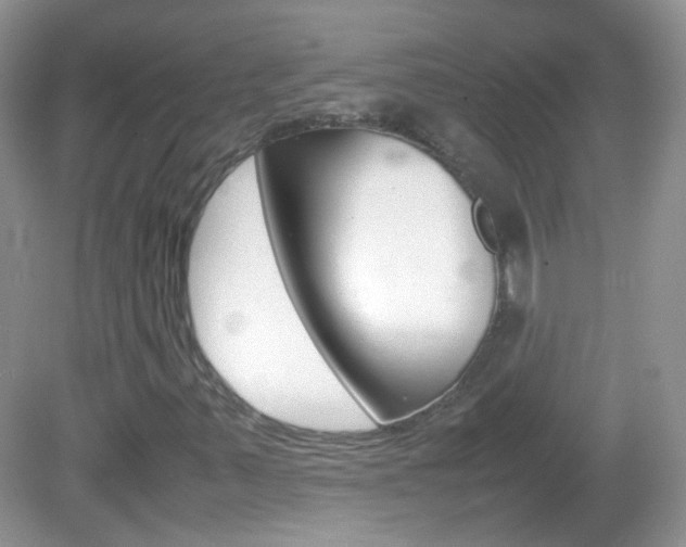 X0000082941347200702011101