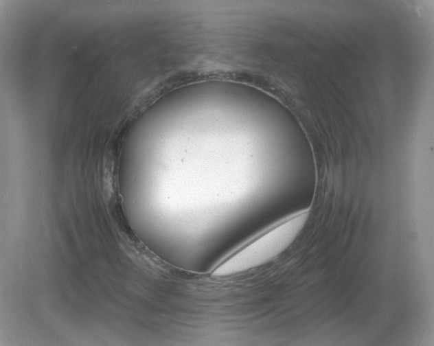 X0000082941348200702011101