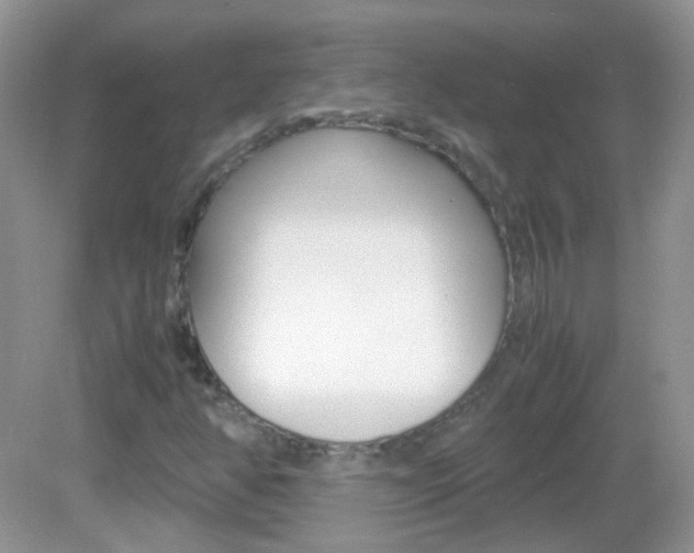 X0000082941350200702011101