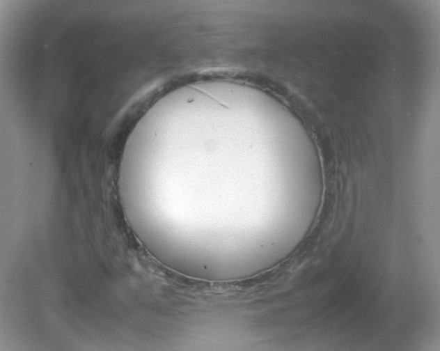 X0000082941351200702011101