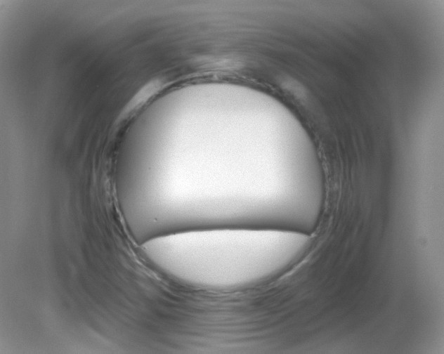 X0000082941354200702011101