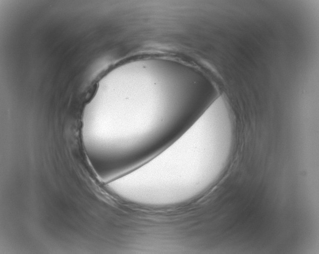 X0000082941355200702011101