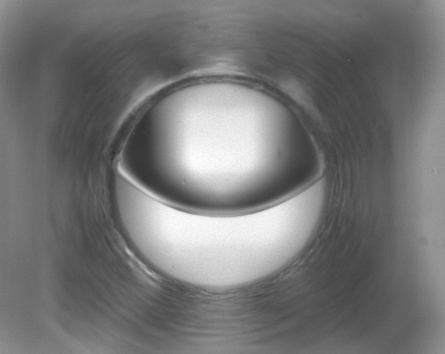X0000082941356200702011101