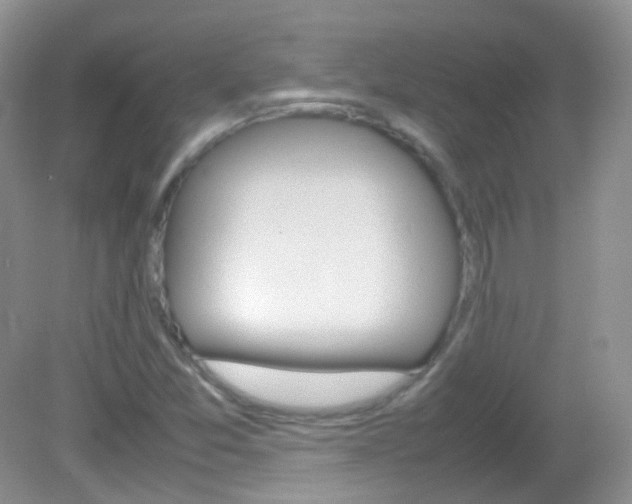X0000082941357200702011101