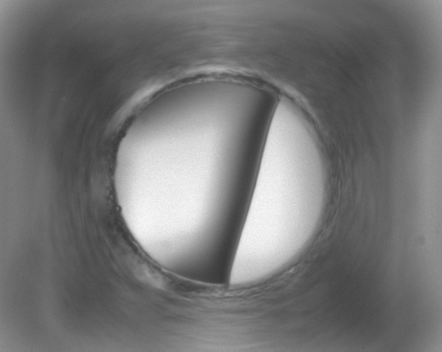X0000082941359200702011101