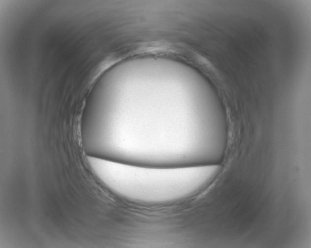 X0000082941361200702011101