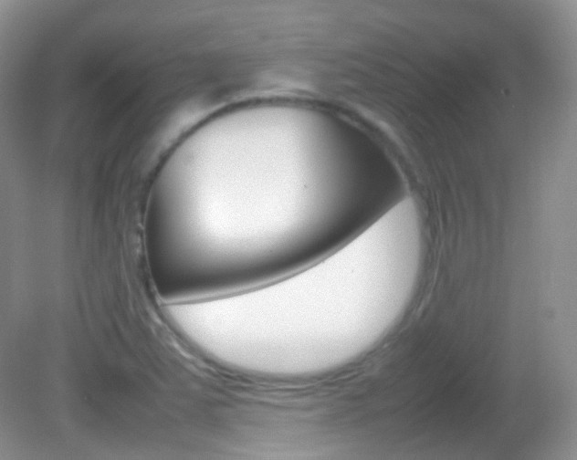 X0000082941363200702011101