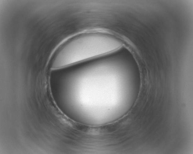 X0000082941364200702011101