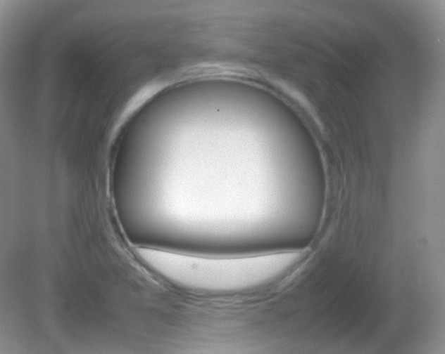 X0000082941365200702011101