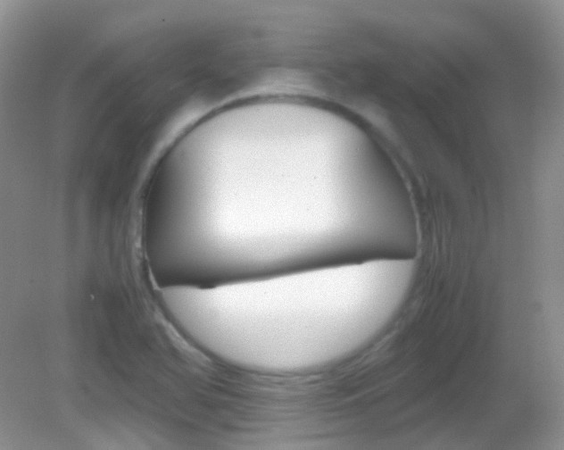 X0000082941366200702011101
