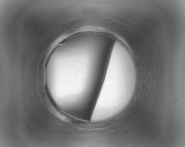 X0000082941371200702011101