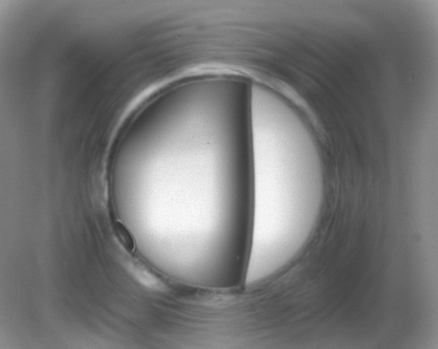 X0000082941372200702011101
