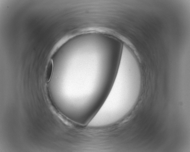 X0000082941373200702011101