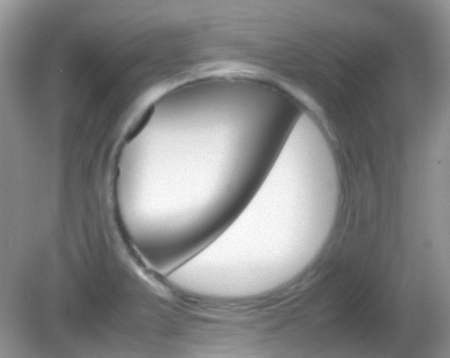 X0000082941375200702011101
