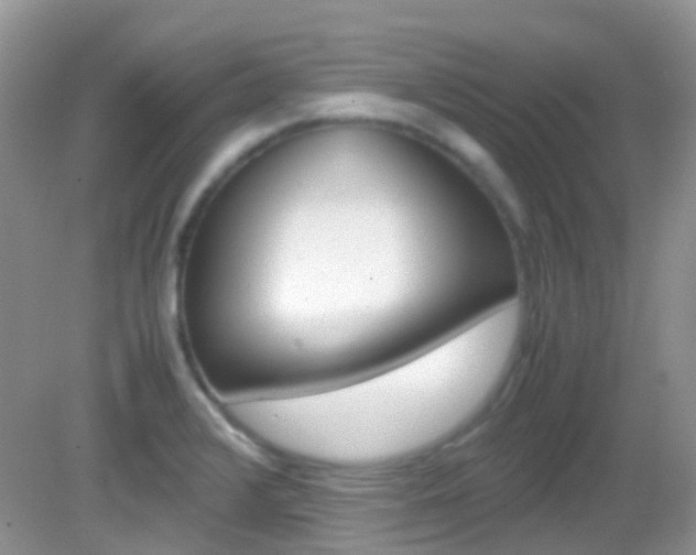 X0000082941376200702011101