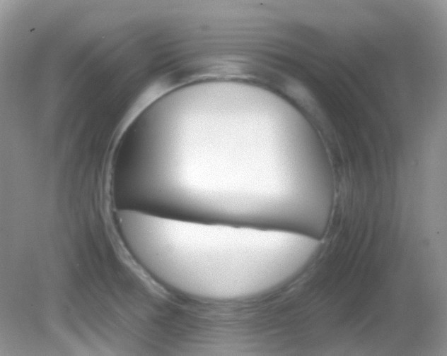 X0000082941378200702011101