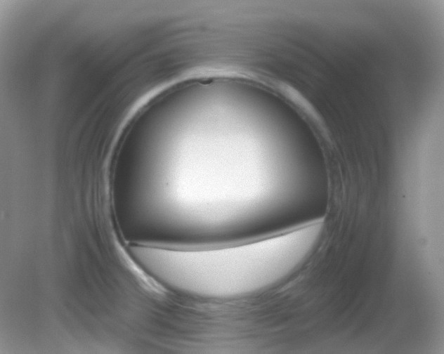 X0000082941380200702011101