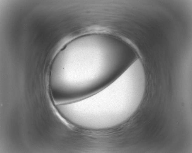 X0000082941383200702011101
