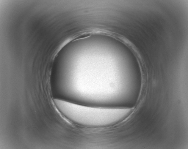 X0000082941385200702011101