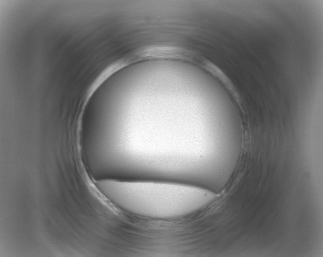 X0000082941386200702011101