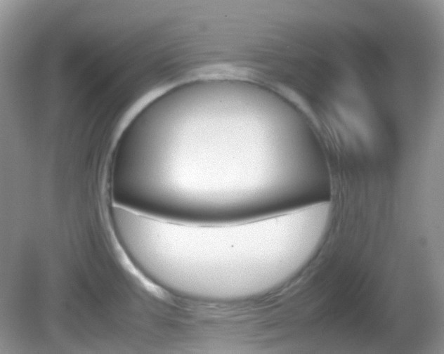 X0000082941387200702011101