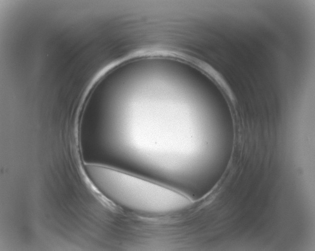 X0000082941388200702011101