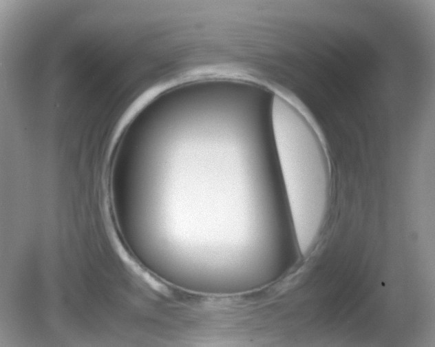X0000082941389200702011101