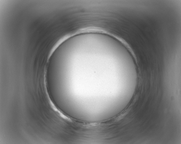 X0000082941390200702011101