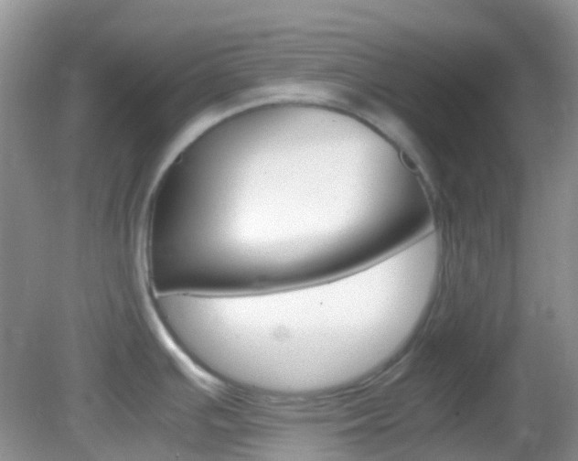 X0000082941391200702011100