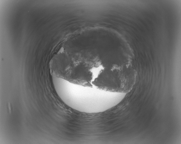 X0000082941393200702011100