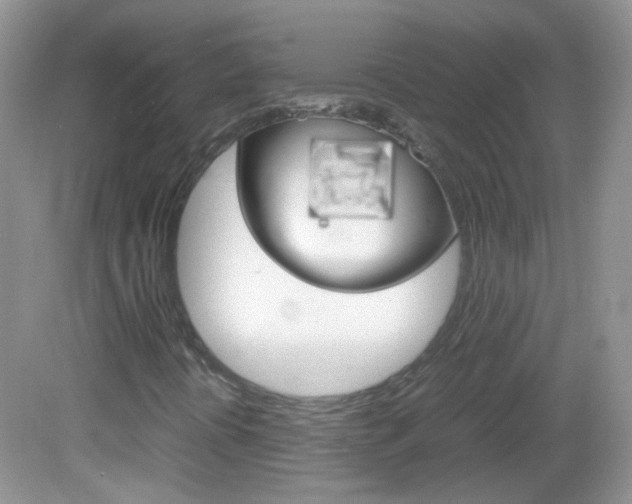 X0000082941394200702011100