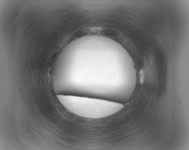 X0000082941395200702011100