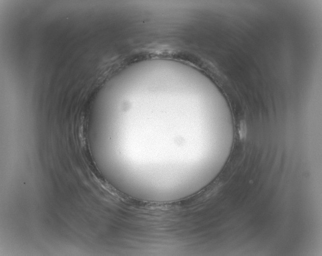 X0000082941396200702011100