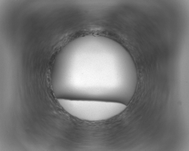 X0000082941397200702011100